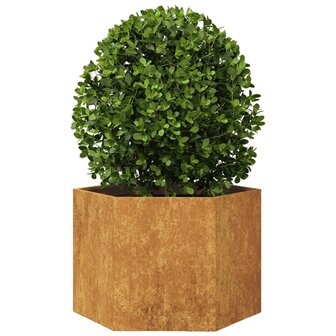 Plantenbak zeshoek 69x60x45 cm cortenstaal 3