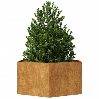 Plantenbak zeshoek 104x90x45 cm cortenstaal 3