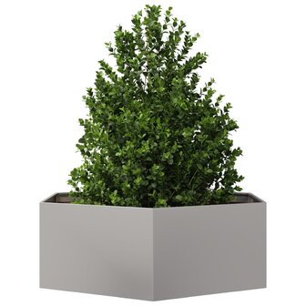 Plantenbak zeshoek 138x120x45 cm roestvrijstaal 3