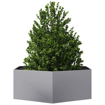 Plantenbak zeshoek 138x120x45 cm gegalvaniseerd staal 3