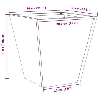 Plantenbakken 2 st 30x30x30 cm gegalvaniseerd staal 12