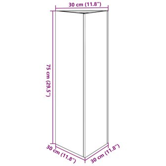 Plantenbakken 2 st driehoek 30x26x75 cm roestvrij staal 12