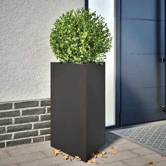 Plantenbakken 2 st driehoek 50x43x75 cm staal zwart 1