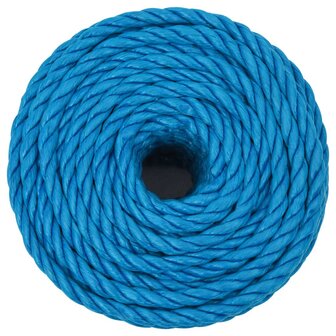 Werktouw 14 mm 25 m polypropeen blauw 3