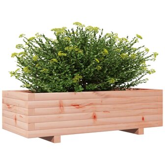 Plantenbak 90x40x26,5 cm massief douglashout 4