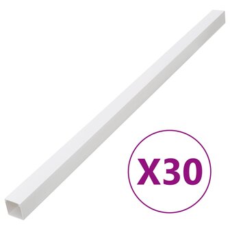 Kabelgoot 100x60 mm 30 m PVC 1