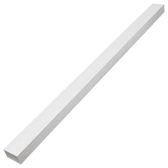 Kabelgoot zelfklevend 100x40 mm 10 m PVC 4