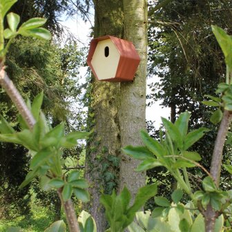 Capi Vogelhuisje Hive 2 ovaal gat 19x23x20 cm bruin 1