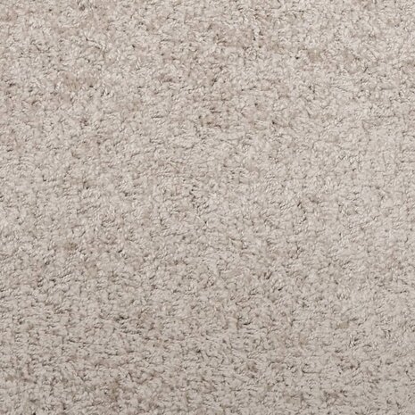 Vloerkleed PAMPLONA shaggy hoogpolig modern 80x200 cm beige 8721012228092 9