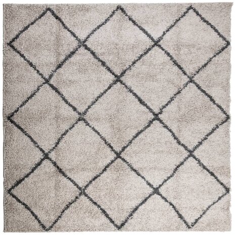 Vloerkleed PAMPLONA shaggy hoogpolig 120x120 cm beige antraciet 8721012229884 2