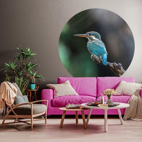 WallArt Behangcirkel The Kingfisher 142,5 cm 8719992629633 1