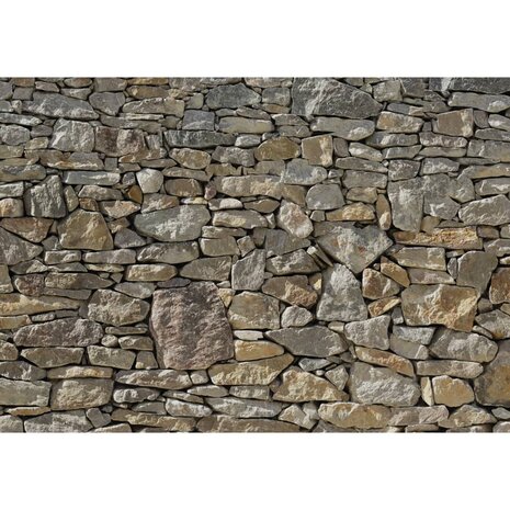 Komar Fotobehang Stone Wall 368x254 cm 8-727 4036834087272 1