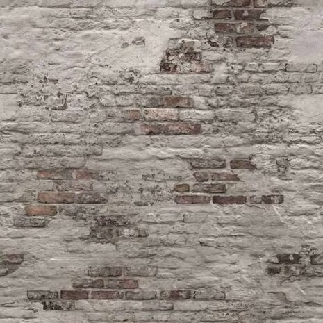 DUTCH WALLCOVERINGS Fotobehang Old Brick Wall grijs 5411012430153 1