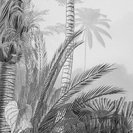 Komar Fotobehang Lac Tropical Black & White 200x270 cm 4055065301292 3