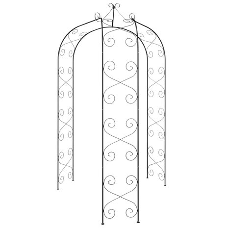 Tuinboog Ø180x255 cm staal zwart 8720845670375 3