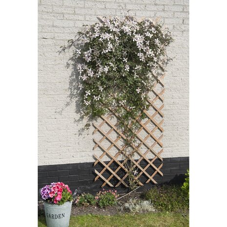 Nature Tuinlatwerk 50x150 cm hout natuurlijk 8711338417010 2