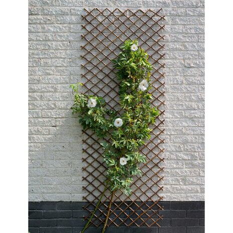 Nature Latwerk 60x180 cm natuurlijk wilgen bruin 8711338407165 3