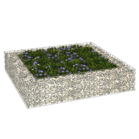 Gabion plantenbak verhoogd 100x100x20 cm gegalvaniseerd staal 1