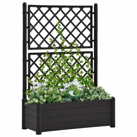 Plantenbak met latwerk 100x43x142 cm PP antraciet 1