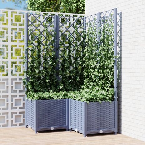 Plantenbak met latwerk 80x80x136 cm polypropeen donkergrijs 1