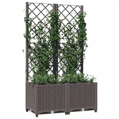 Plantenbak met latwerk 80x40x136 cm polypropeen bruin 3