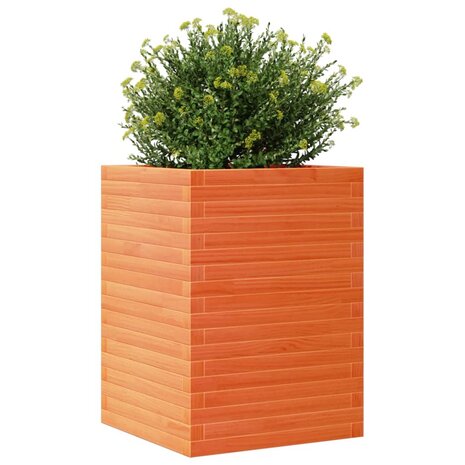 Plantenbak 50x50x68,5 cm massief grenenhout wasbruin 4