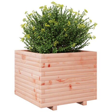 Plantenbak 60x60x49,5 cm massief douglashout 4