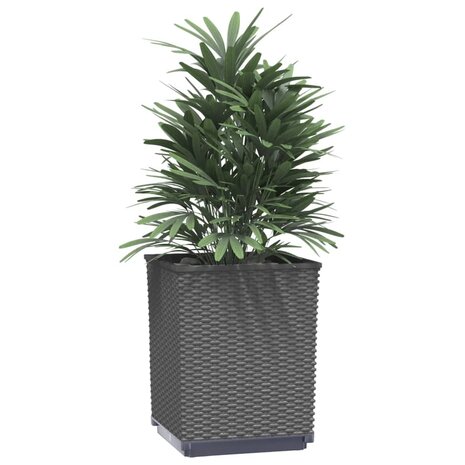 Plantenbakken 2 st 30x30x37 cm polypropeen zwart 3