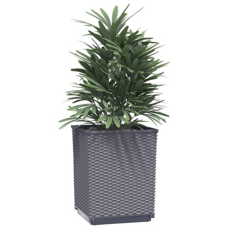 Plantenbakken 4 st 30x30x37 cm polypropeen donkergrijs 3