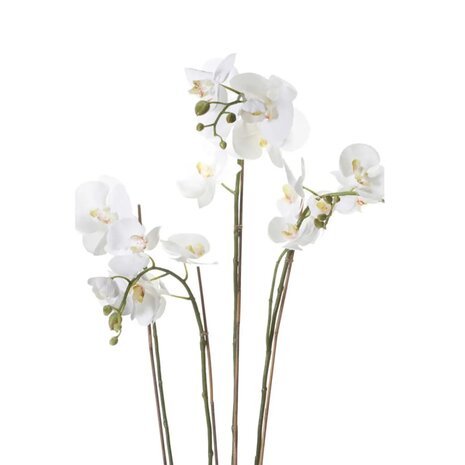 Emerald Kunstplant orchidee met mos wit 90 cm 20.355 2