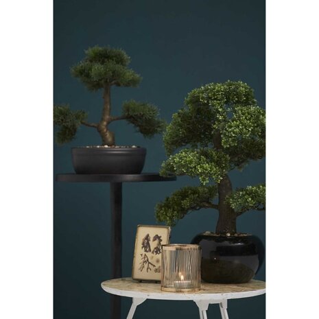 Emerald Kunstplant ceder bonsai groen 32 cm 420001 3