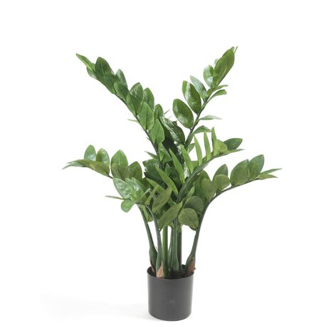 Emerald Kunstplant zamioculcas 70 cm 1