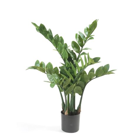 Emerald Kunstplant zamioculcas 70 cm 2