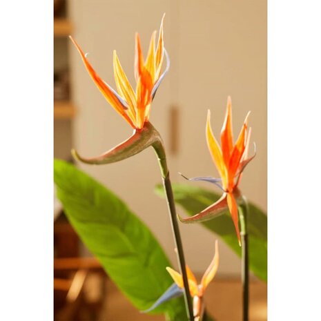 Emerald Kunstplant met pot en bloemen Strelitzia 120 cm 3