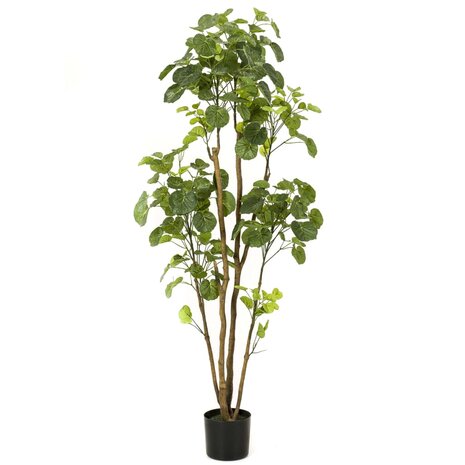 Emerald Kunstboom in pot aralia 160 cm 1