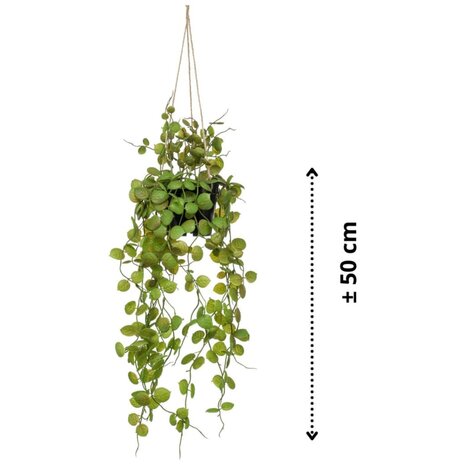 Emerald Kunstplant hangend in pot lantaarnplant 50 cm 3