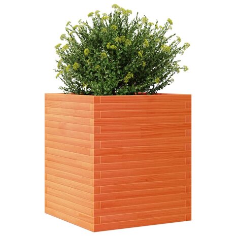 Plantenbak 60x60x68,5 cm massief grenenhout wasbruin 4