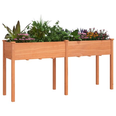 Plantenbak met voering 161x45x76 cm massief vurenhout bruin 3