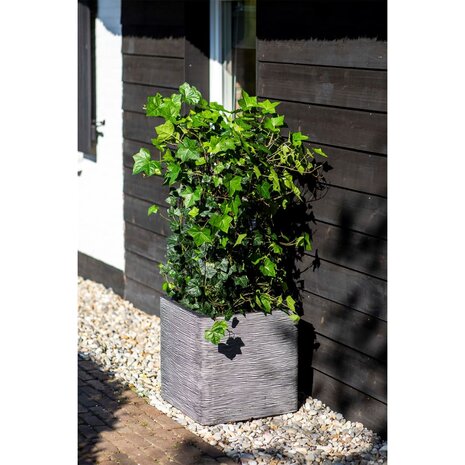 Capi Plantenbak Nature Rib vierkant 40x40 cm antraciet KOFZ903 8