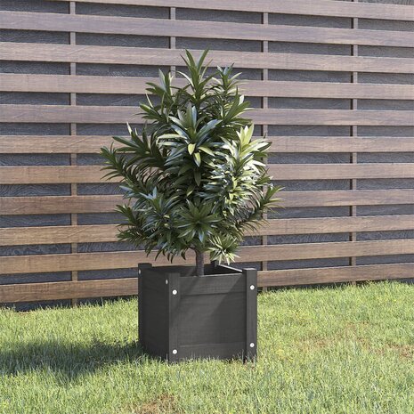 Plantenbak 31x31x31 cm massief grenenhout grijs 1