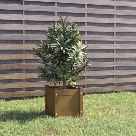 Plantenbak 31x31x31 cm massief grenenhout honingbruin 1