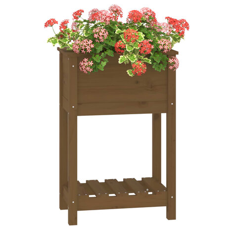 Plantenbak met schap 54x34,5x81 cm grenenhout honingbruin 4