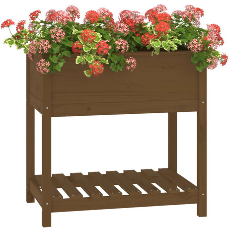 Plantenbak met schap 82,5x54x81 cm grenenhout honingbruin 4