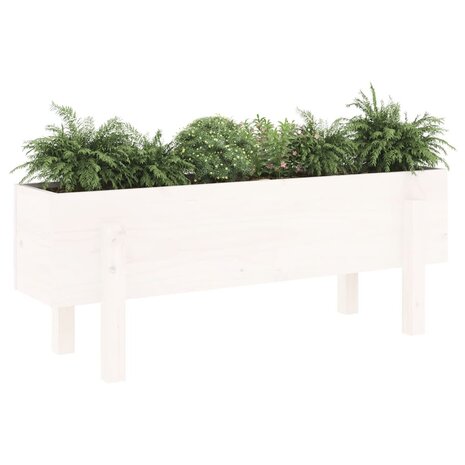 Plantenbak verhoogd 101x30x38 cm massief grenenhout wit 3