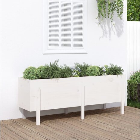 Plantenbak verhoogd 160x50x57 cm massief grenenhout wit 1