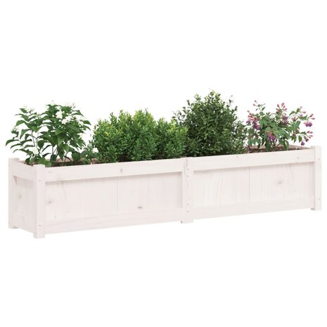 Plantenbak 150x31x31 cm massief grenenhout wit 4