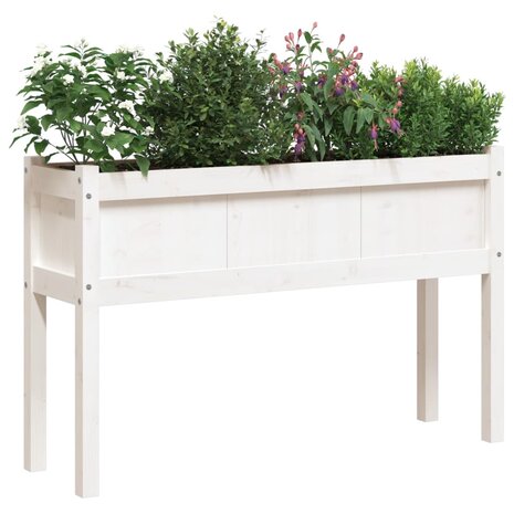 Plantenbak met poten 110x31x70 cm massief grenenhout wit 4