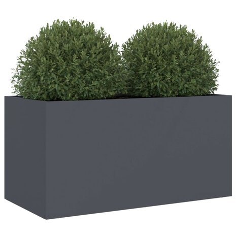 Plantenbak 62x30x29 cm koudgewalst staal antracietkleurig 4