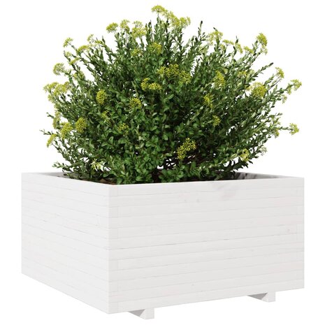 Plantenbak 90x90x49,5 cm massief grenenhout wit 4