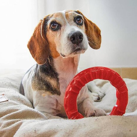 Ferplast Kauwspeeltje voor honden Smile large 20x18x4 cm rood 1